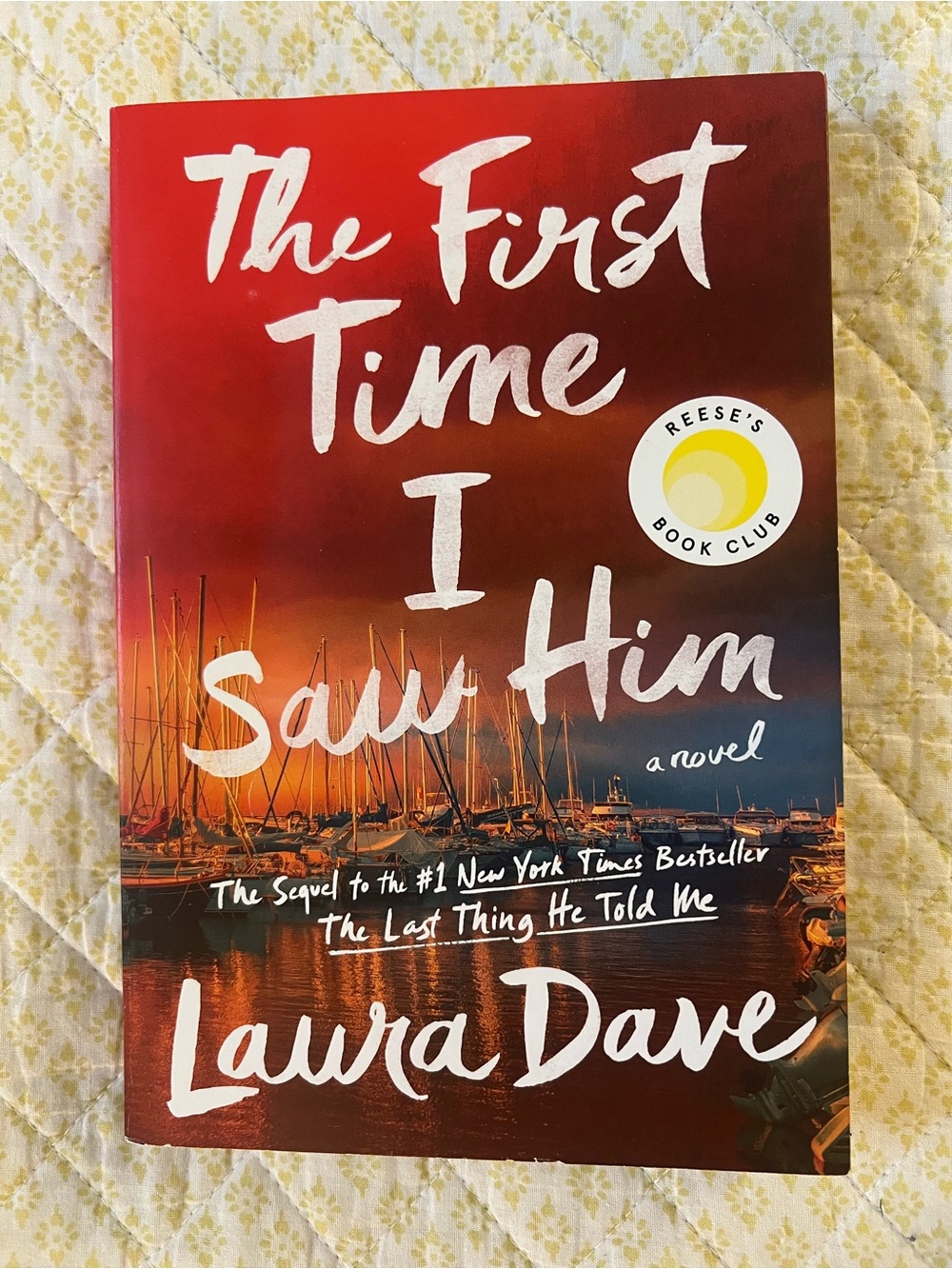 THE FIRST TIME I SAW HIM SOFTCOVER BOOK BY LAURA DAVE  EUC